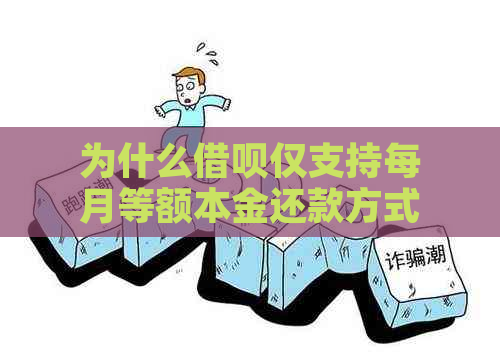 为什么借呗仅支持每月等额本金还款方式？探讨借款条件与还款策略