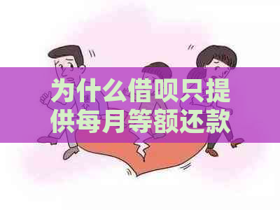 为什么借呗只提供每月等额还款选项？其他还款方式如何使用？