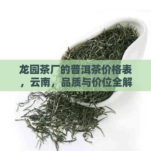 龙园茶厂的普洱茶价格表，云南，品质与价位全解析