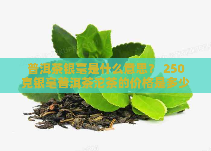 普洱茶银毫是什么意思？ 250克银毫普洱茶沱茶的价格是多少？