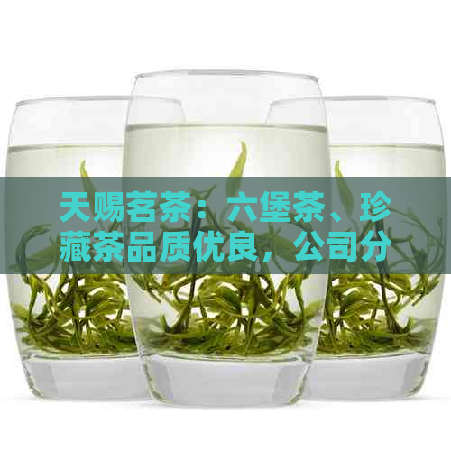 天赐茗茶：六堡茶、珍藏茶品质优良，公司分别经营茶叶业务。