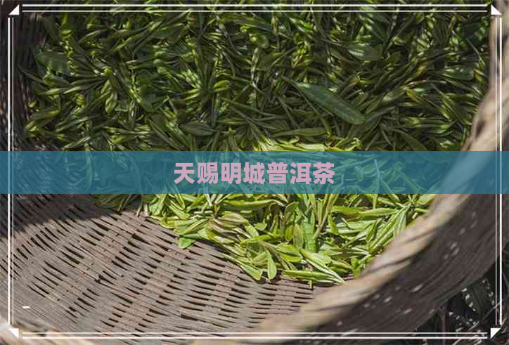 天赐明城普洱茶