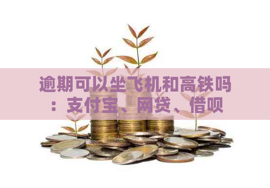 逾期可以坐飞机和高铁吗：支付宝、网贷、借呗