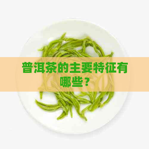 普洱茶的主要特征有哪些？