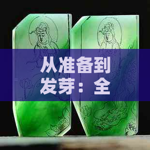 从准备到发芽：全面指南教你种植绿色玉豆，让种子成功生根