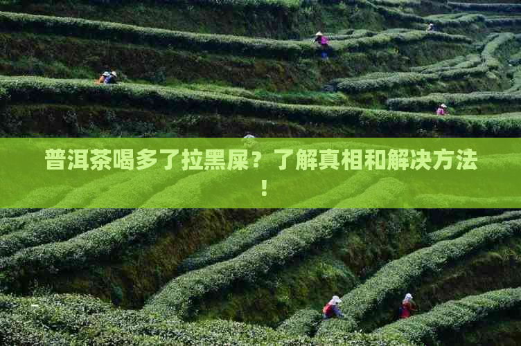 普洱茶喝多了拉黑屎？了解真相和解决方法！