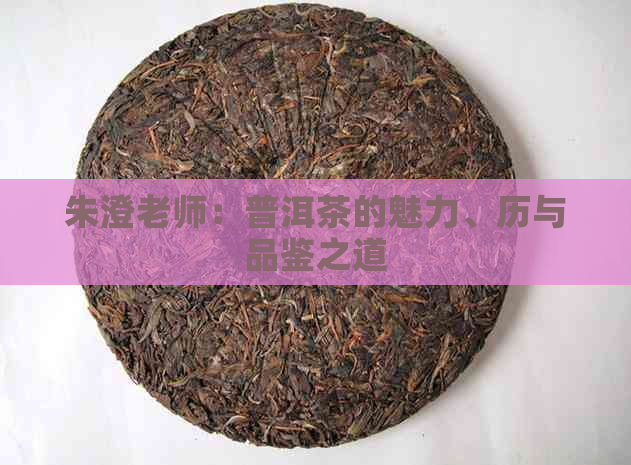 朱澄老师：普洱茶的魅力、历与品鉴之道