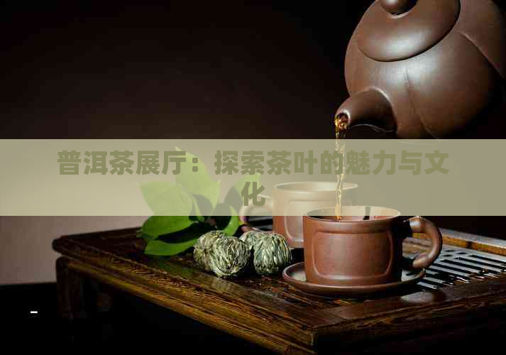 普洱茶展厅：探索茶叶的魅力与文化