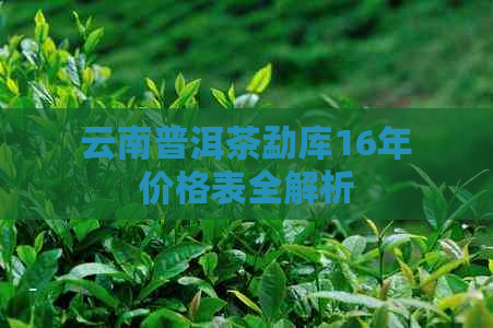 云南普洱茶勐库16年价格表全解析