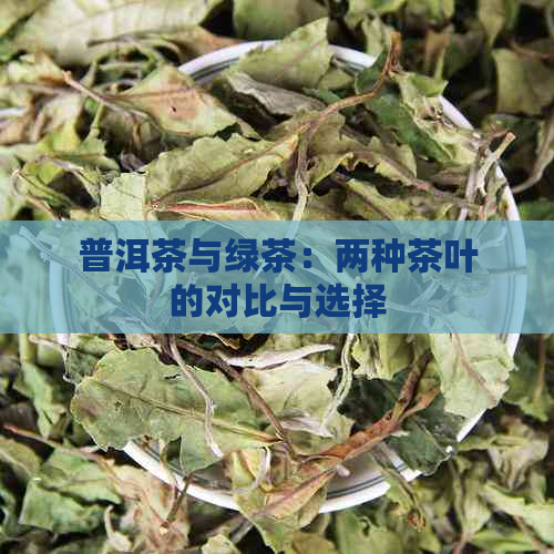 普洱茶与绿茶：两种茶叶的对比与选择