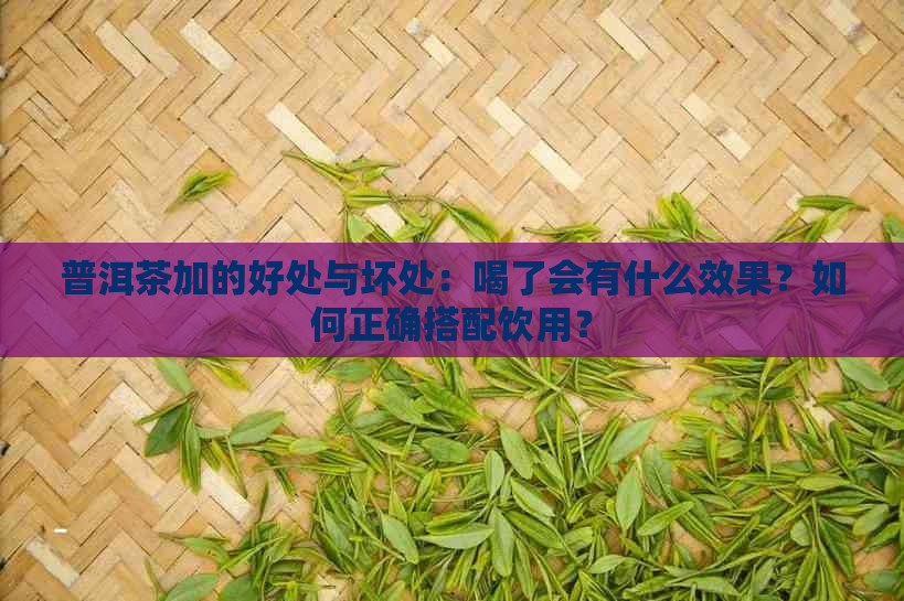 普洱茶加的好处与坏处：喝了会有什么效果？如何正确搭配饮用？