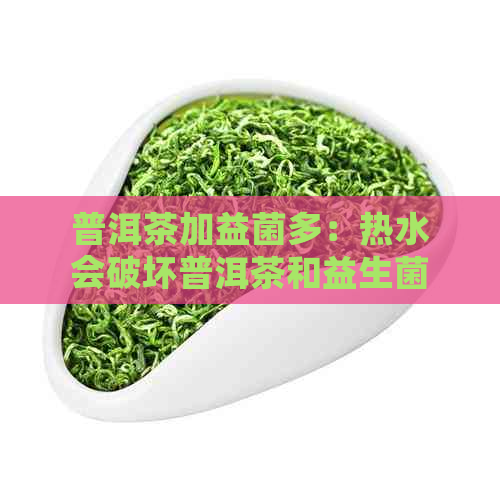 普洱茶加益菌多：热水会破坏普洱茶和益生菌吗？怎样泡才能不损失？