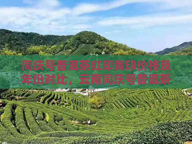 同庆号普洱茶红印黄印价格及年份对比，云南同庆号普洱茶印特色推荐