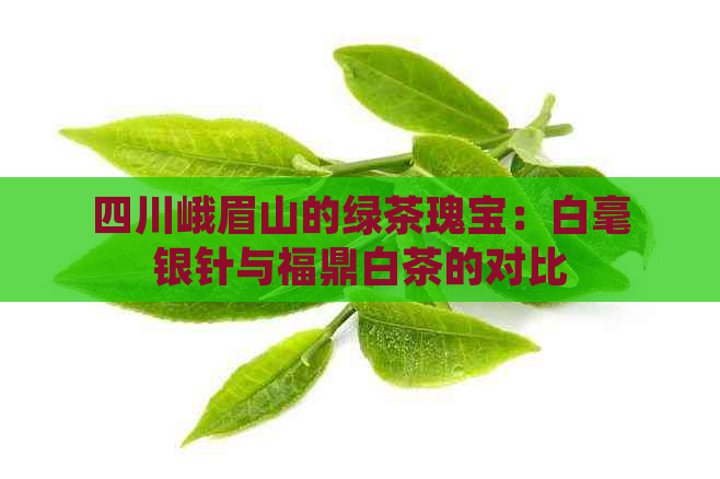 四川峨眉山的绿茶瑰宝：白毫银针与福鼎白茶的对比