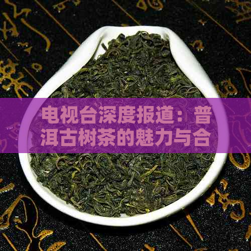 电视台深度报道：普洱古树茶的魅力与合作之路