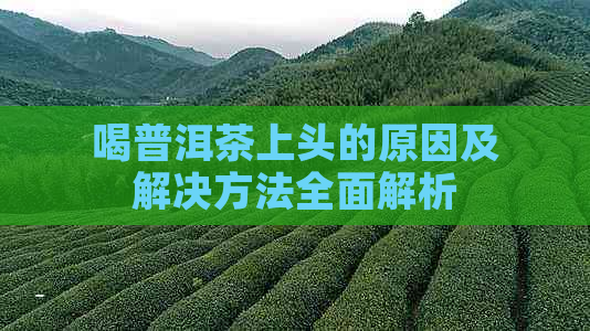 喝普洱茶上头的原因及解决方法全面解析