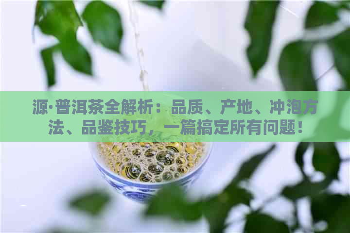 源·普洱茶全解析：品质、产地、冲泡方法、品鉴技巧，一篇搞定所有问题！