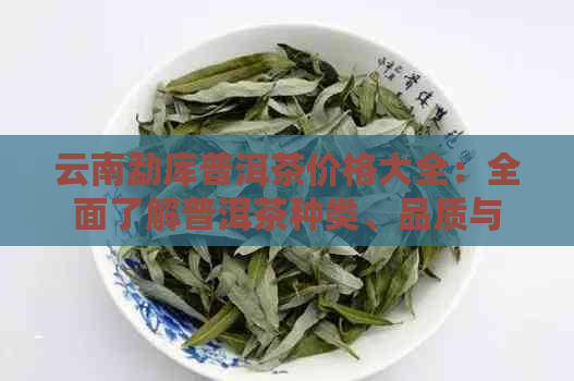 云南勐库普洱茶价格大全：全面了解普洱茶种类、品质与市场行情