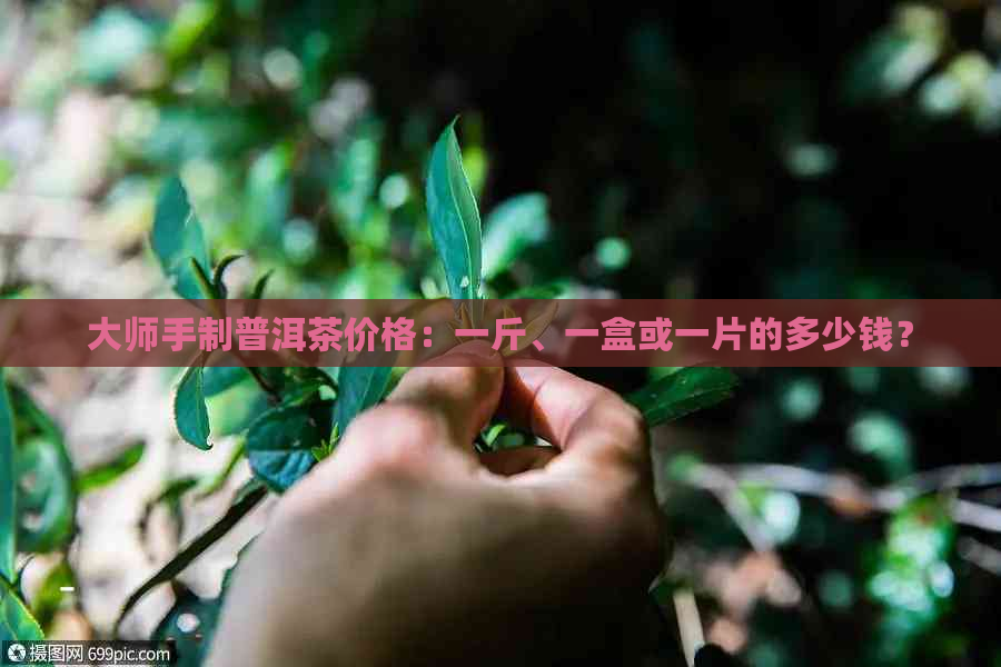 大师手制普洱茶价格：一斤、一盒或一片的多少钱？