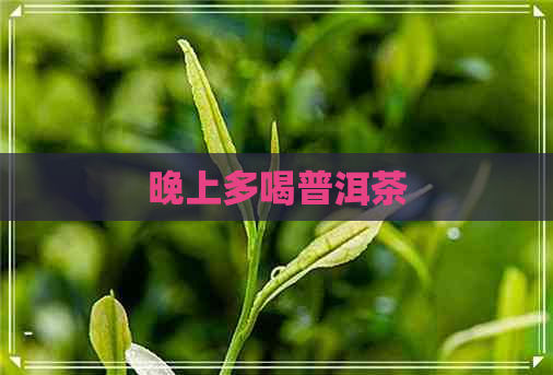 晚上多喝普洱茶