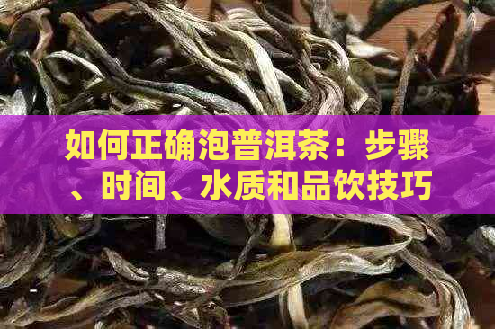 如何正确泡普洱茶：步骤、时间、水质和品饮技巧的全面指南