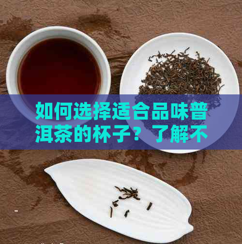 如何选择适合品味普洱茶的杯子？了解不同材质和形状杯子的优缺点