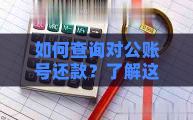 如何查询对公账号还款？了解这些步骤，解决用户所有疑问