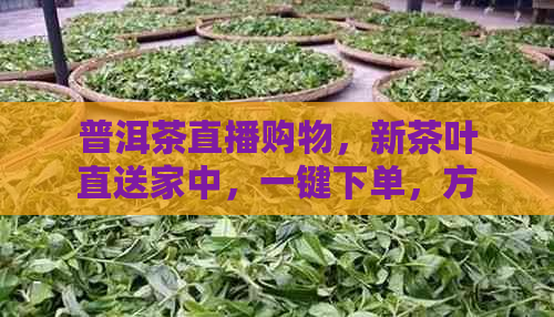 普洱茶直播购物，新茶叶直送家中，一键下单，方便快捷！