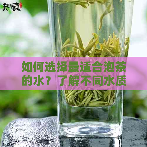 如何选择最适合泡茶的水？了解不同水质对茶香和口感的影响