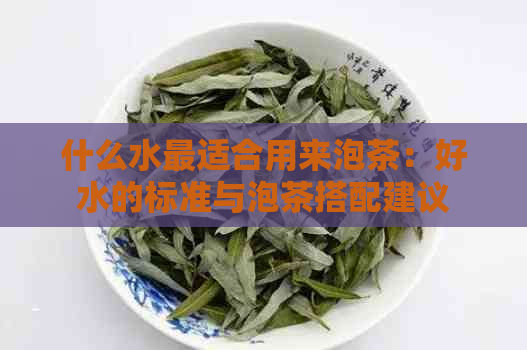 什么水最适合用来泡茶：好水的标准与泡茶搭配建议