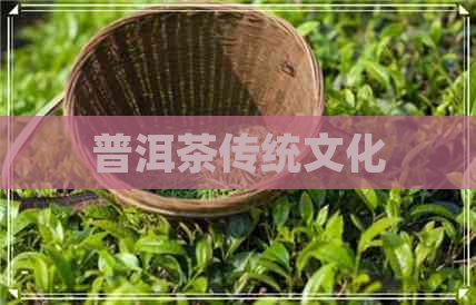 普洱茶传统文化