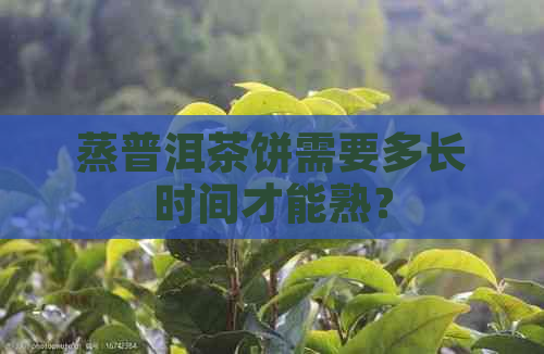 蒸普洱茶饼需要多长时间才能熟？