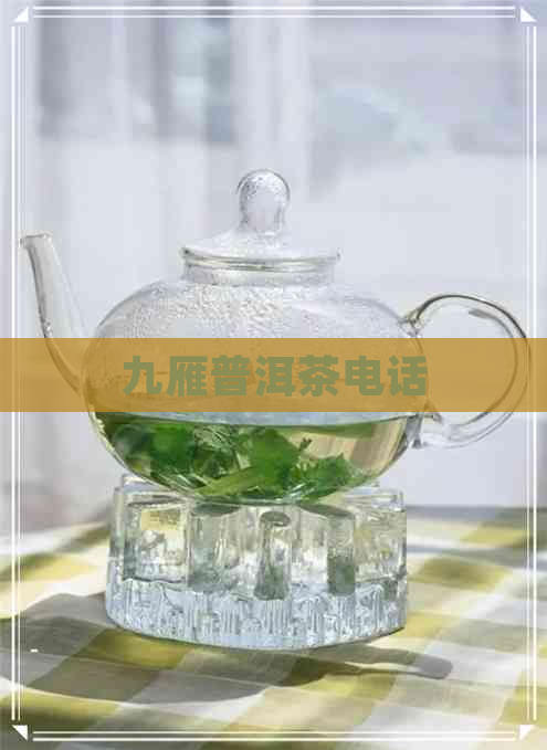 九雁普洱茶电话