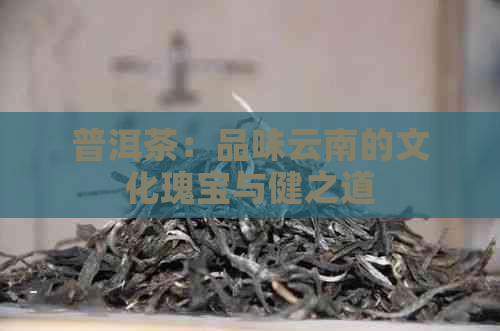 普洱茶：品味云南的文化瑰宝与健之道