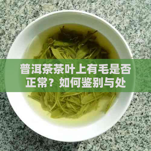 普洱茶茶叶上有毛是否正常？如何鉴别与处理？