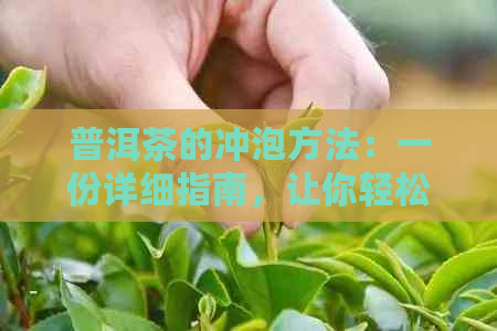 普洱茶的冲泡方法：一份详细指南，让你轻松掌握如何开启普洱茶的美妙世界