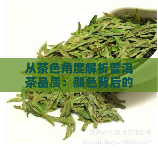 从茶色角度解析普洱茶品质：颜色背后的专业鉴别方法