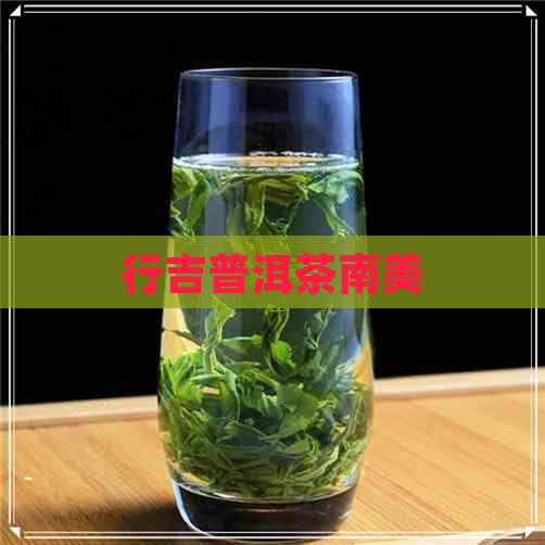 行吉普洱茶南美