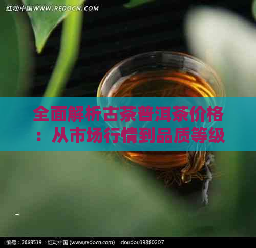 全面解析古茶普洱茶价格：从市场行情到品质等级，一次看个够！