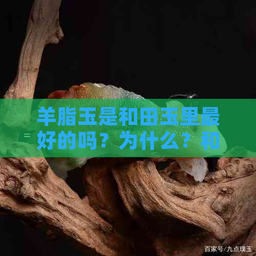 羊脂玉是和田玉里更好的吗？为什么？和田玉与羊脂玉价值对比