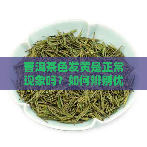 普洱茶色发黄是正常现象吗？如何辨别优质普洱茶？