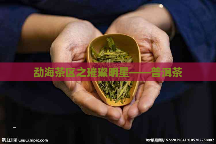 勐海茶区之璀璨明星——普洱茶