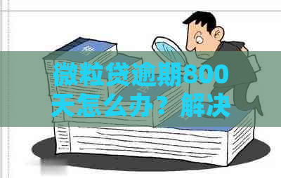 微粒贷逾期800天怎么办？解决方案一览，让你轻松应对逾期问题！