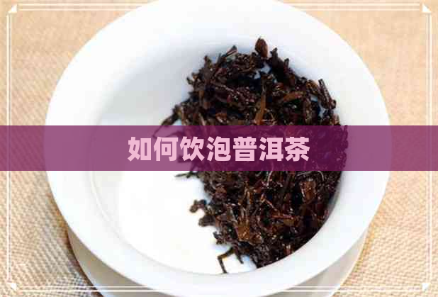 如何饮泡普洱茶