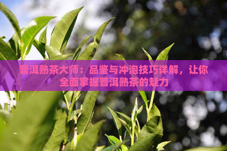 普洱熟茶大师：品鉴与冲泡技巧详解，让你全面掌握普洱熟茶的魅力