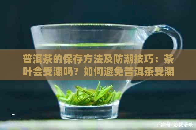 普洱茶的保存方法及防潮技巧：茶叶会受潮吗？如何避免普洱茶受潮？