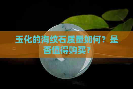 玉化的海纹石质量如何？是否值得购买？