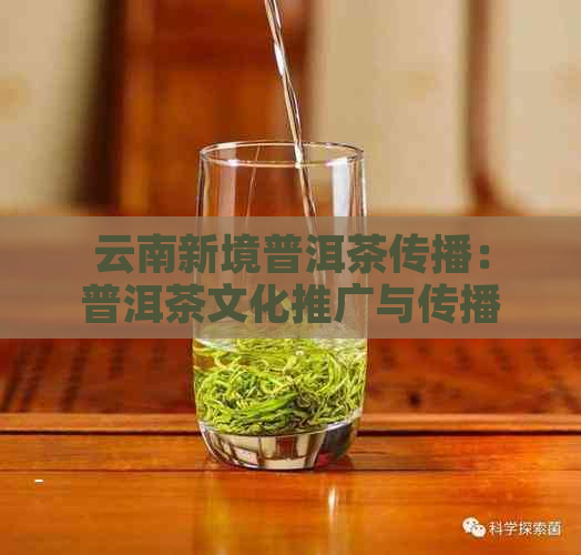 云南新境普洱茶传播：普洱茶文化推广与传播领导者