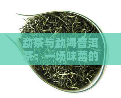 勐茶与勐海普洱茶：一场味蕾的宴