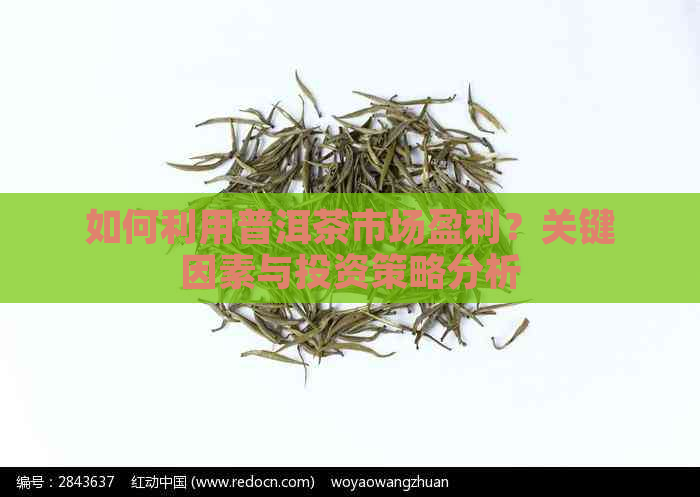 如何利用普洱茶市场盈利？关键因素与投资策略分析